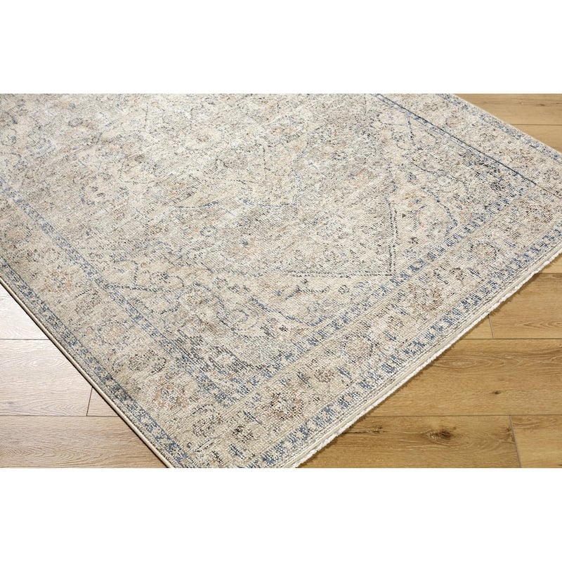 Galey Alix x Livabliss Maria Elena I Vintage Medallion Area Rug