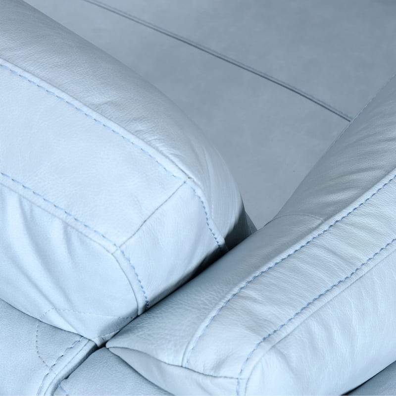 Franz 87" Modern Leather Sofa