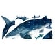 preview thumbnail 3 of 2, RoomMates Blue & White Shark Giant Wall Decals