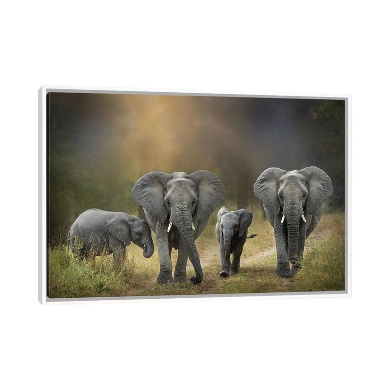 iCanvas "Elephant Family" by Patsy Weingart Framed - White - 26x40