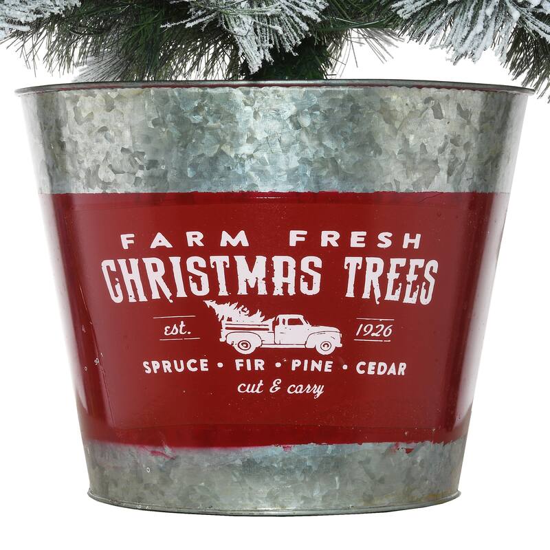 National Tree Company 5 ft. Snowy Pogue Pine Entrance Tree with LED Lights - 5 Foot