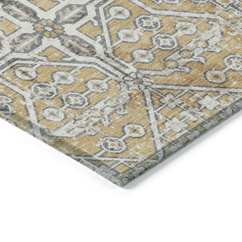 Machine Washable Indoor/Outdoor Traditional Eclectic Chantille Rug