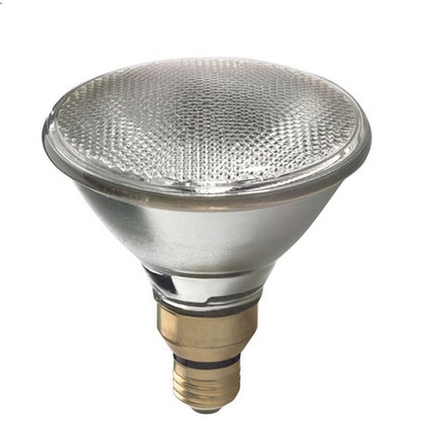 GE 66280 Halogen Par Flood Light Bulb 60 Watts 120 Volt Bed Bath Beyond 17918593