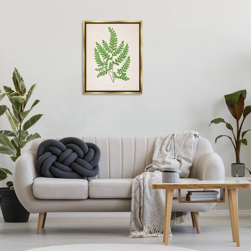 Stupell Woodland Sprigs Study Framed Floater Canvas Wall Art Design By Phillipa Katz