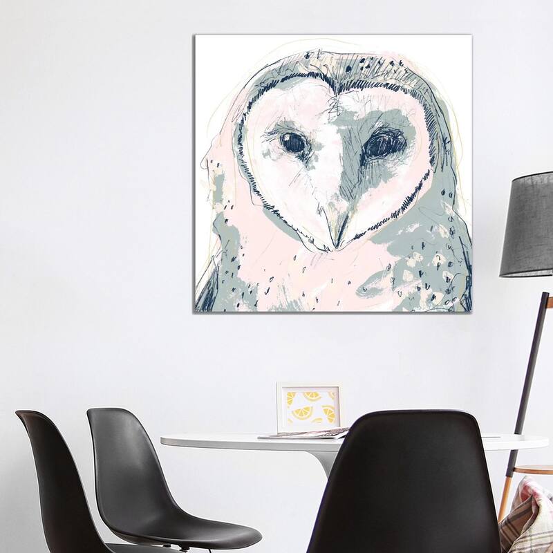iCanvas "Funky Owl Portrait I" by June Erica Vess Canvas Print - 37x37x1.5