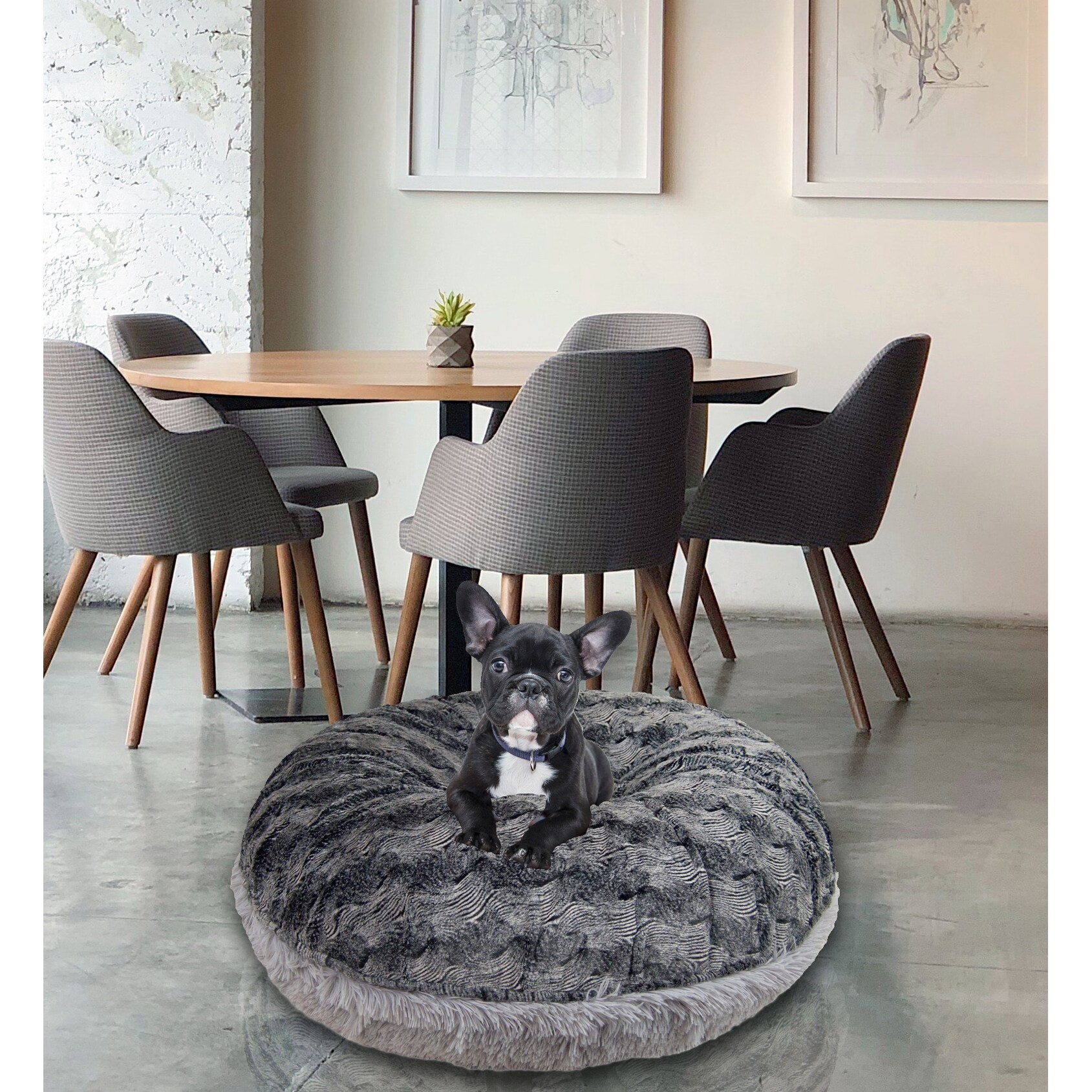 Bessie and barnie bagel shop dog bed