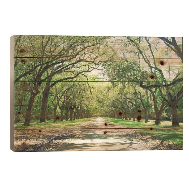 Live Oaks And Spanish Moss Wormsloe State Historic Site Savannah, Georgia Print On Wood by Panoramic Images - Multi-Color - 18x26x1.5