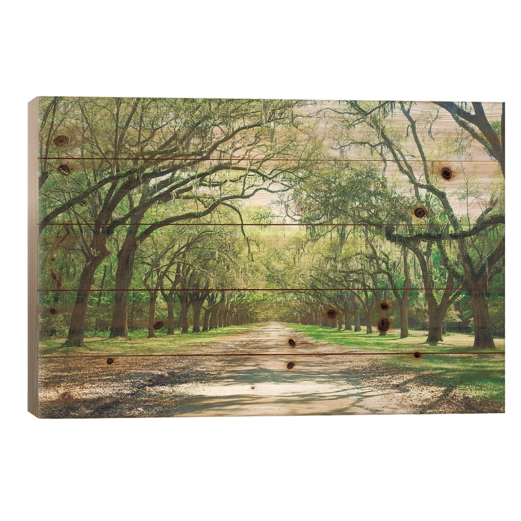 Live Oaks And Spanish Moss Wormsloe State Historic Site Savannah, Georgia Print On Wood by Panoramic Images - Multi-Color