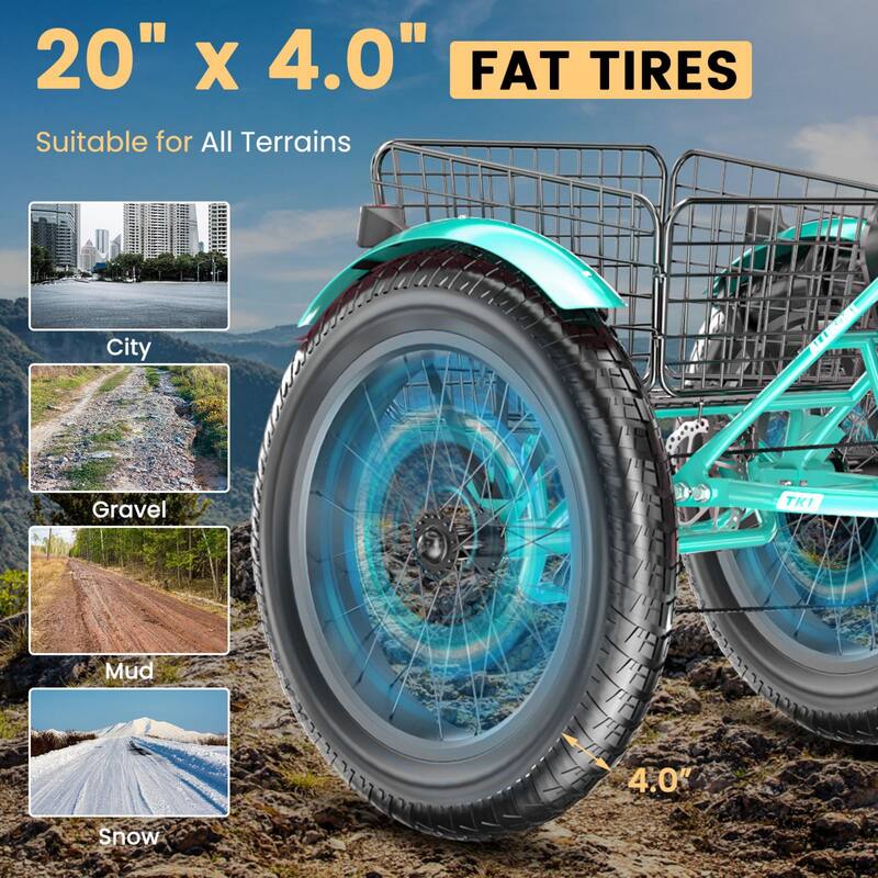 DoCred 20"x4" Fat Tire Electric Tricycle, 48V 500W with 7 Speed Ebike