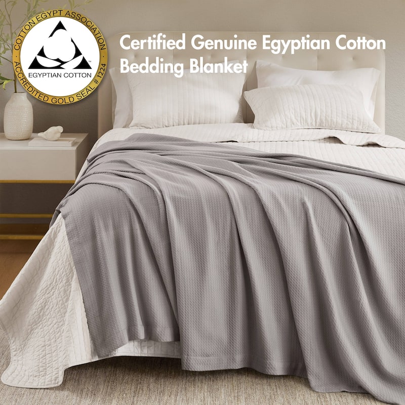 Madison Park Egyptian Cotton Solid Blanket