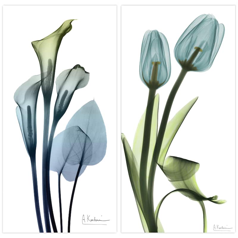 Calla Lily and Blue Tulips Frameless Free Floating Tempered Glass Panel Graphic Wall Art Set of 2