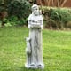 Option 36.25" H St. Francis Feeding Animals
