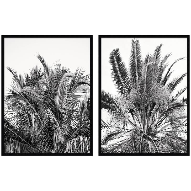 Kate and Laurel Palm No. 13 & 15 2 Piece Framed Wall Art Print Set by Alicia Bock - 2 Piece Set 31x41 - Black