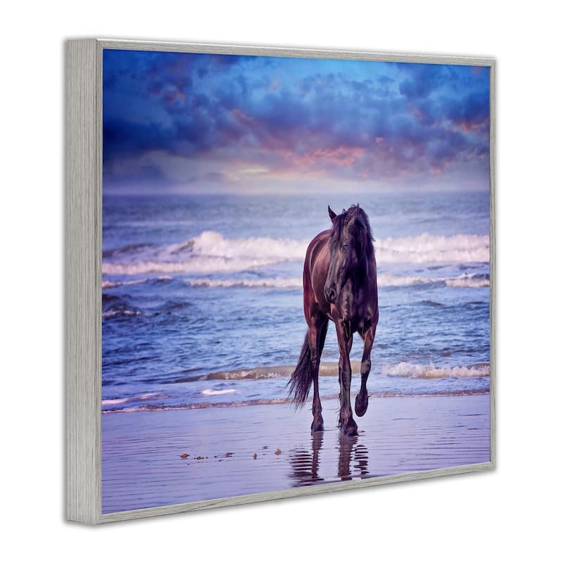 Stupell Wild Horse on Beach Colorful Blue Sunset Framed Giclee Texturized Art by PHBurchett