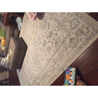 Safavieh Adirondack Dakota Distressed Vintage Boho Oriental Rug