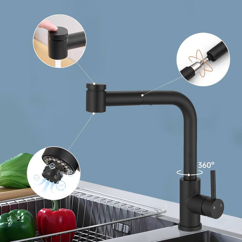 Topcraft Single Handle Pull-Out Stainless Steel Kitchen Faucet