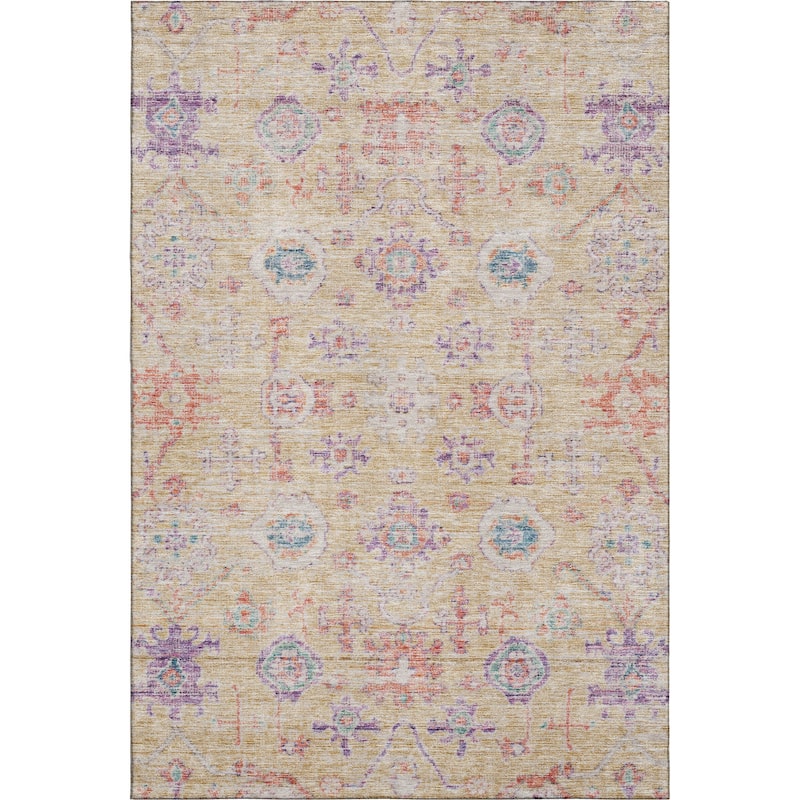 Premium Washable Super Soft Vintage Traditional Mayfield Rug