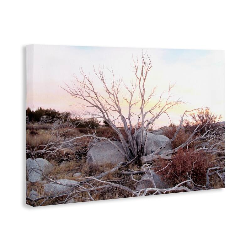 Stupell Rocky Foothills Terrain Canvas Wall Art Design By Gemma Bardot