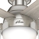 preview thumbnail 34 of 39, Hunter 46" Anslee Low Profile Ceiling Fan with LED Light Kit and Pull Chain