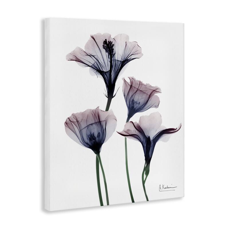 Stupell Bountiful Dusk Flowers Canvas Wall Art Design By Albert Koetsier