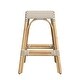 preview thumbnail 109 of 124, Robias 24.5" Rattan Rectangular Counter Stool