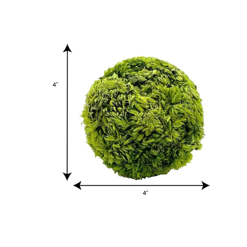 Preserved Decorative Boxwood and Cockscomb Topiary Balls - Set of 3