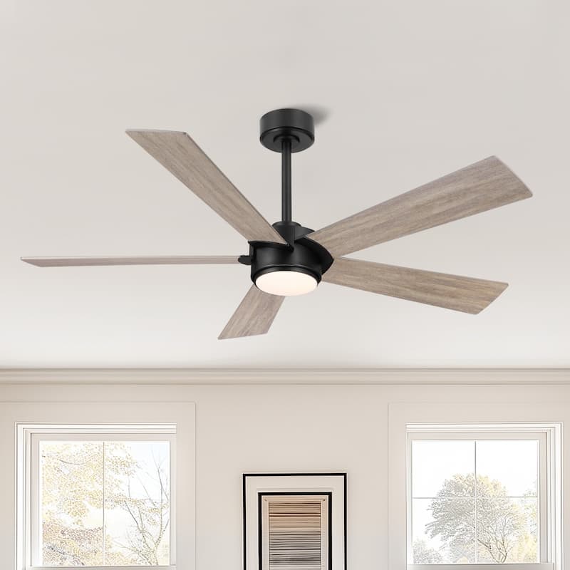 MLiAN 54 In. 5 Blades Indoor LED Ceiling Fan with Remote Control - 54" - Black/Brown