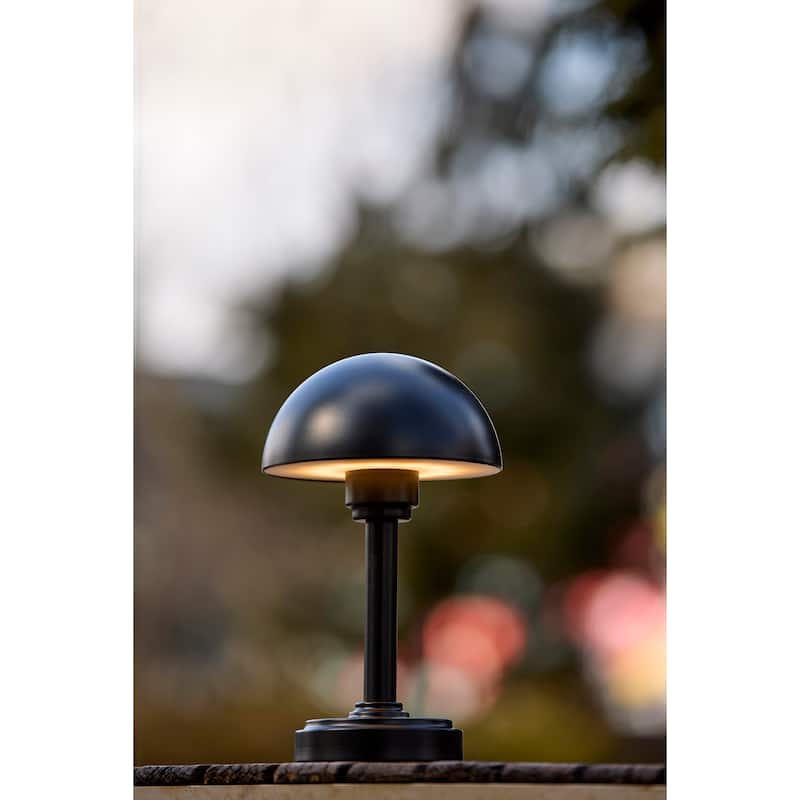 Ollie LED Cordless Table Lamp