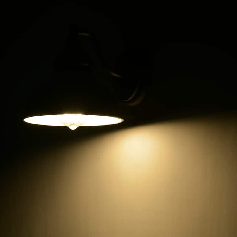 1-light Indoor/ Outdoor Wall Sconce