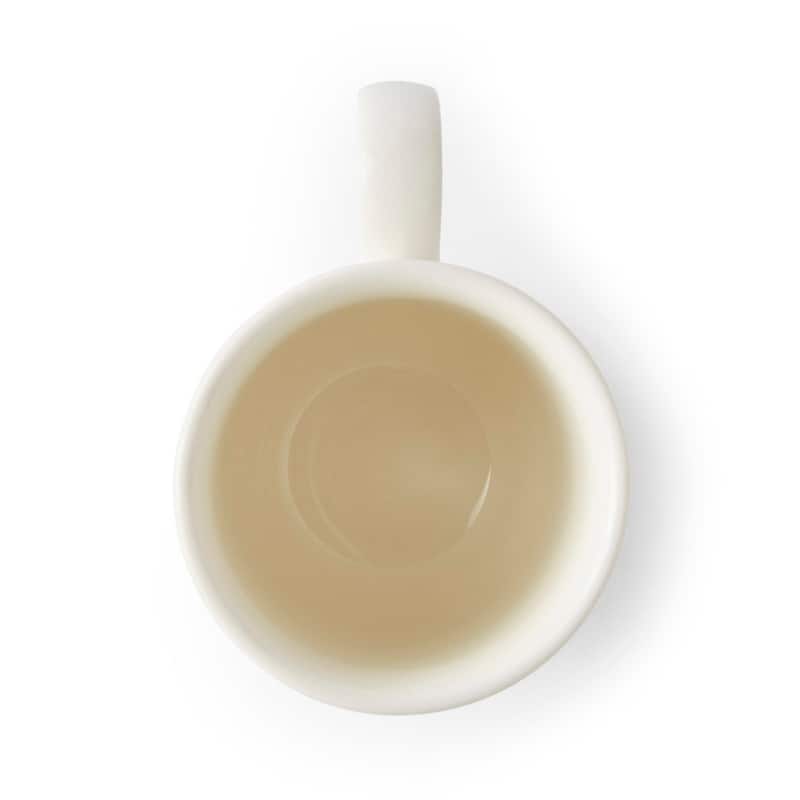 Portmeirion Botanic Garden Set of 6 Meadow Tulip Beaker Mugs - 10.5 oz