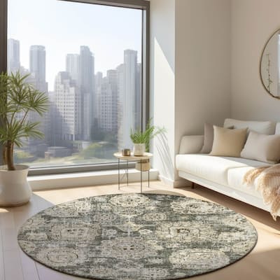 Machine Washable Indoor/ Outdoor Chantille Persian Vintage Rug