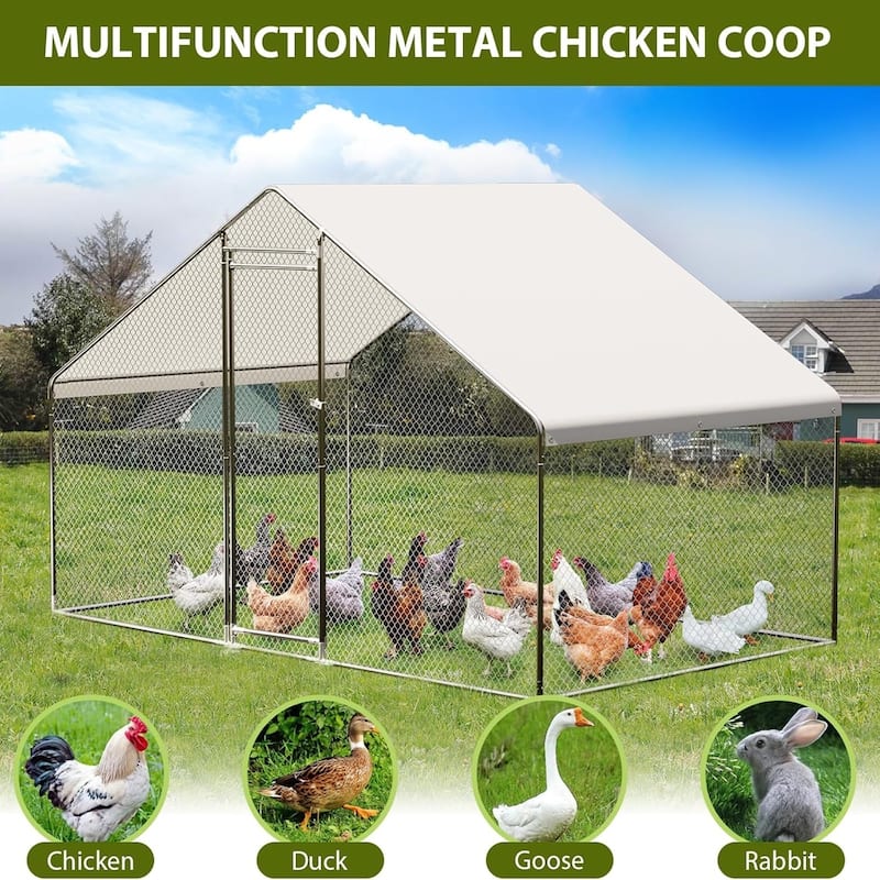Large Metal Chicken CoopWalk-in Poultry Cage