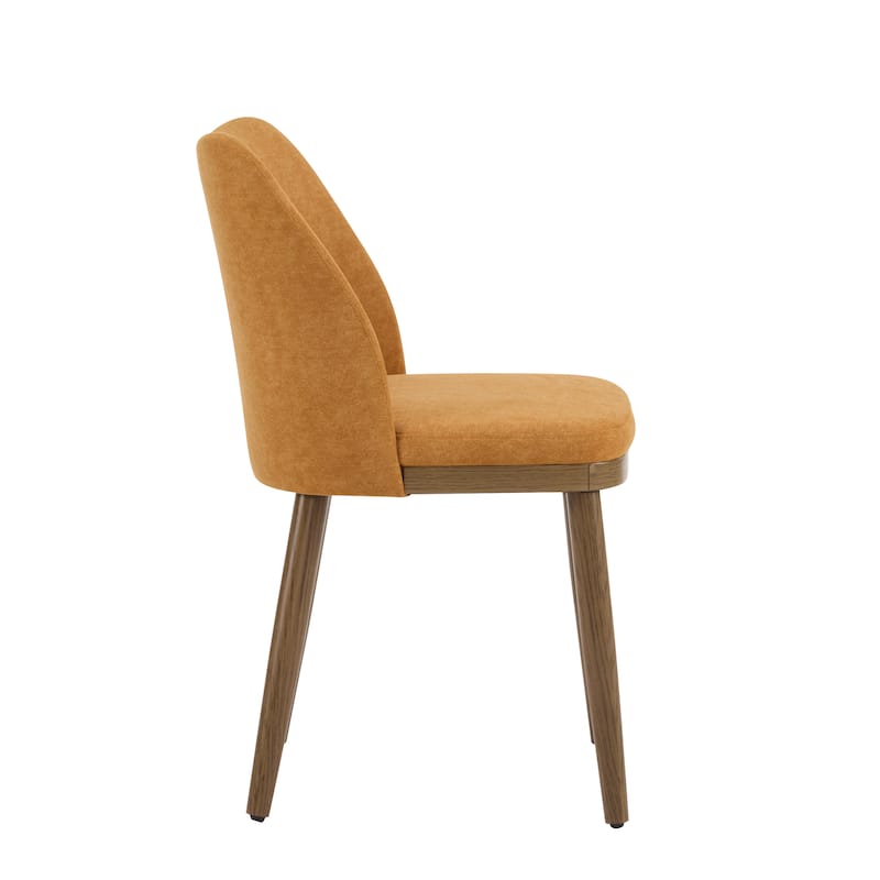 Aviana Fabric Upholstered Dining Chairs (Set of 2) by Christopher Knight Home