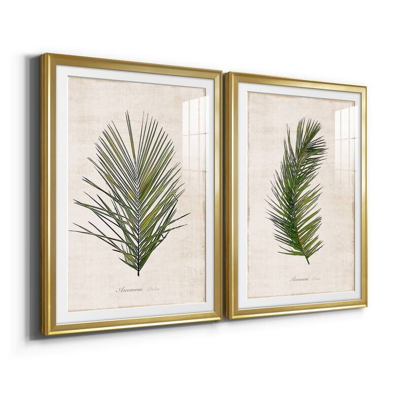 Palm Botanical I Premium Framed Print - Ready to Hang