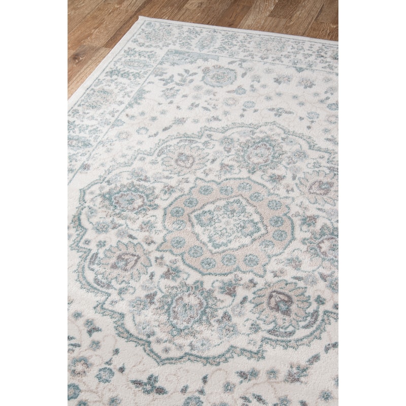 Momeni Brooklyn Heights Polyester Blend Traditional Medallion Area Rug