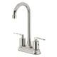 Option Polished Nickel