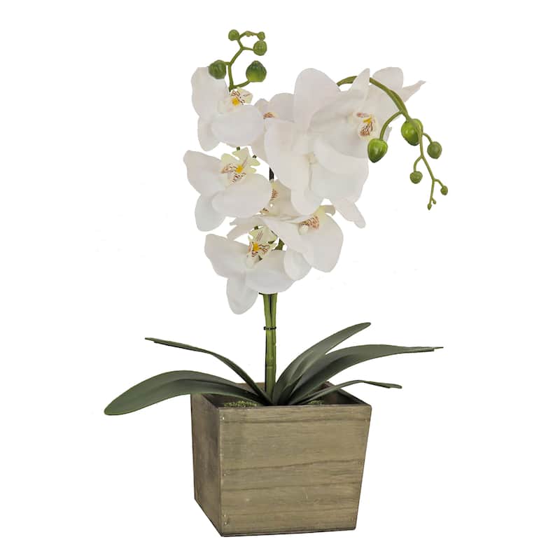 National Tree Company 21 in. White Orchid Flower in Wood Box