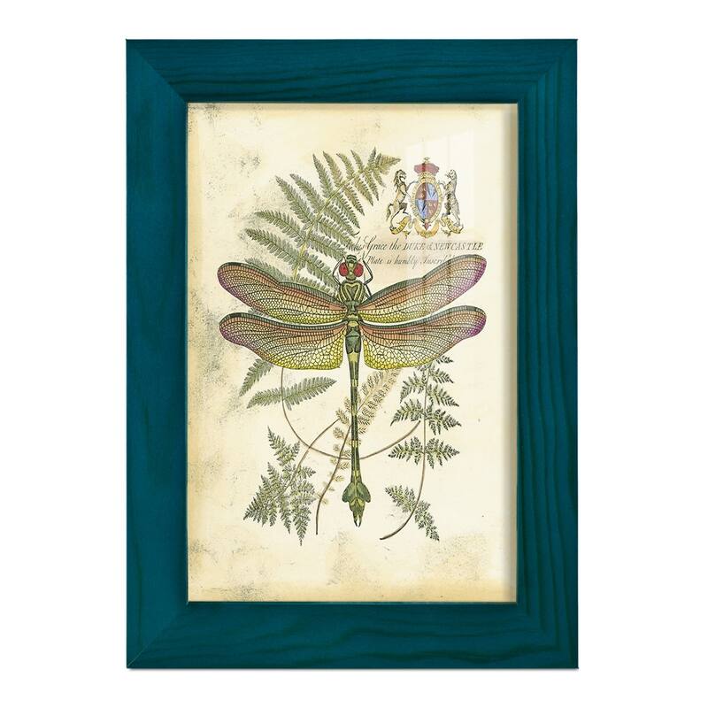 Regal Dragonfly III (PP) -Framed Print w/glass-Cherry Red