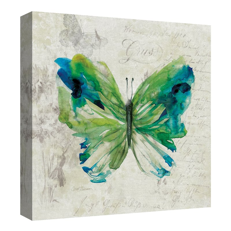 Butterfly Sketch I, II, III, IV by Carol Robinson Canvas Art Prints