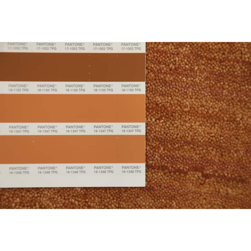 Hand Knotted Oriental 100% Wool Carpet Tribal Animal Pictorial Oranges & Rust Gabbeh Area Rug - 7' 11'' X 5' 0''