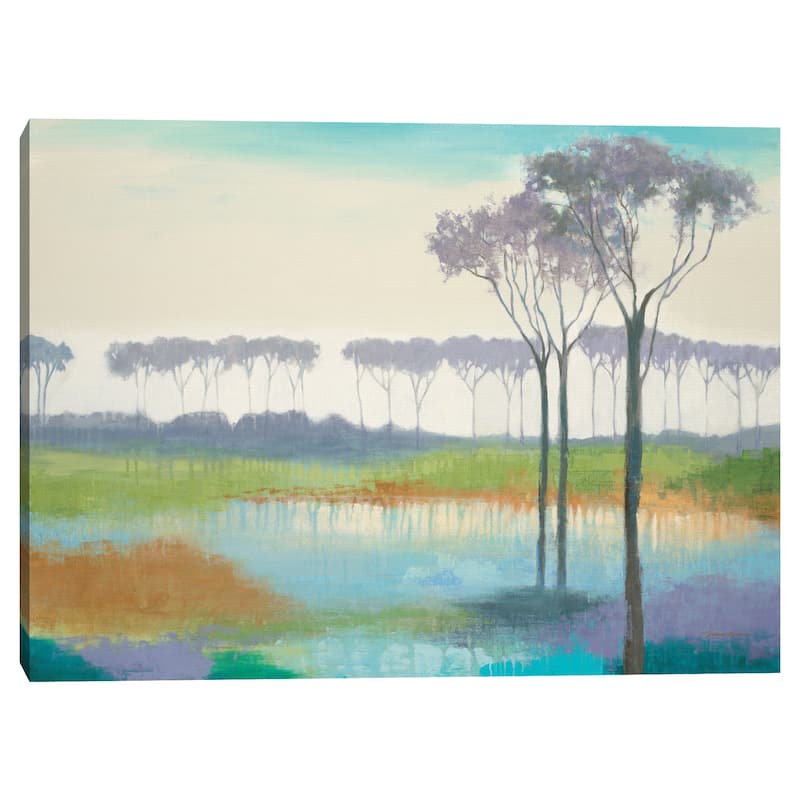 Imaginary Days by Liz Jardine Canvas Art Print