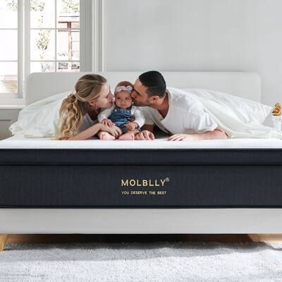 Molblly 12 inch Size Hybrid Mattress Support Bed-in-a-Box