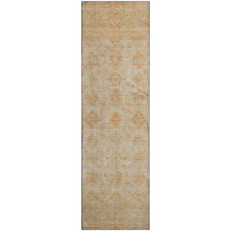 Premium Washable Super Soft Vintage Traditional Mayfield Rug