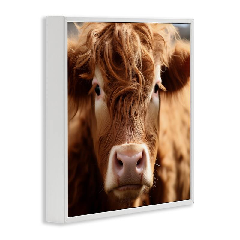 Stupell Close Up Furry Cow Portrait Framed Giclee Art Design By Heidi Kuntz