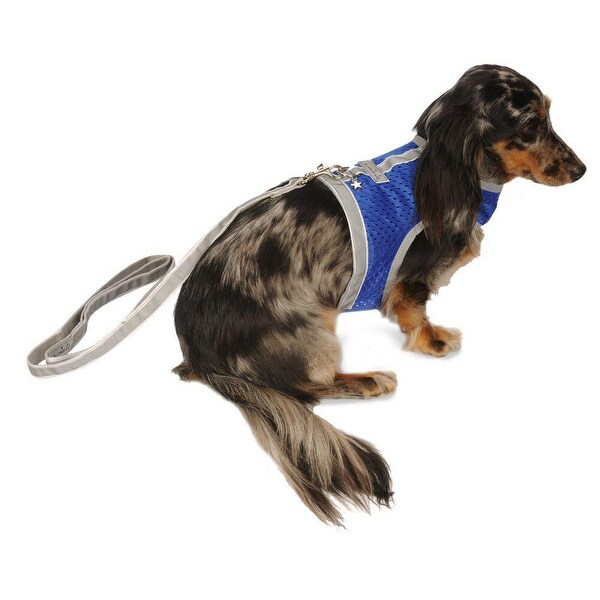 teacup dog harness vest