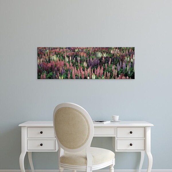 Easy Art Prints Panoramic Images's 'Lupine Field' Premium Canvas Art