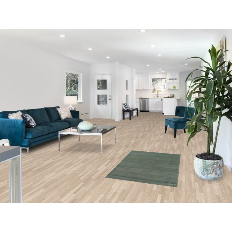 Stripe Gabbeh Modern Rug Handmade Wool Carpet - 2'7" x 4'1"