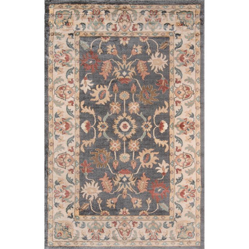 Momeni Colorado Traditional Area Rug