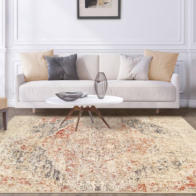 Superior Ombre Distressed Medallion Rustic Area Rug