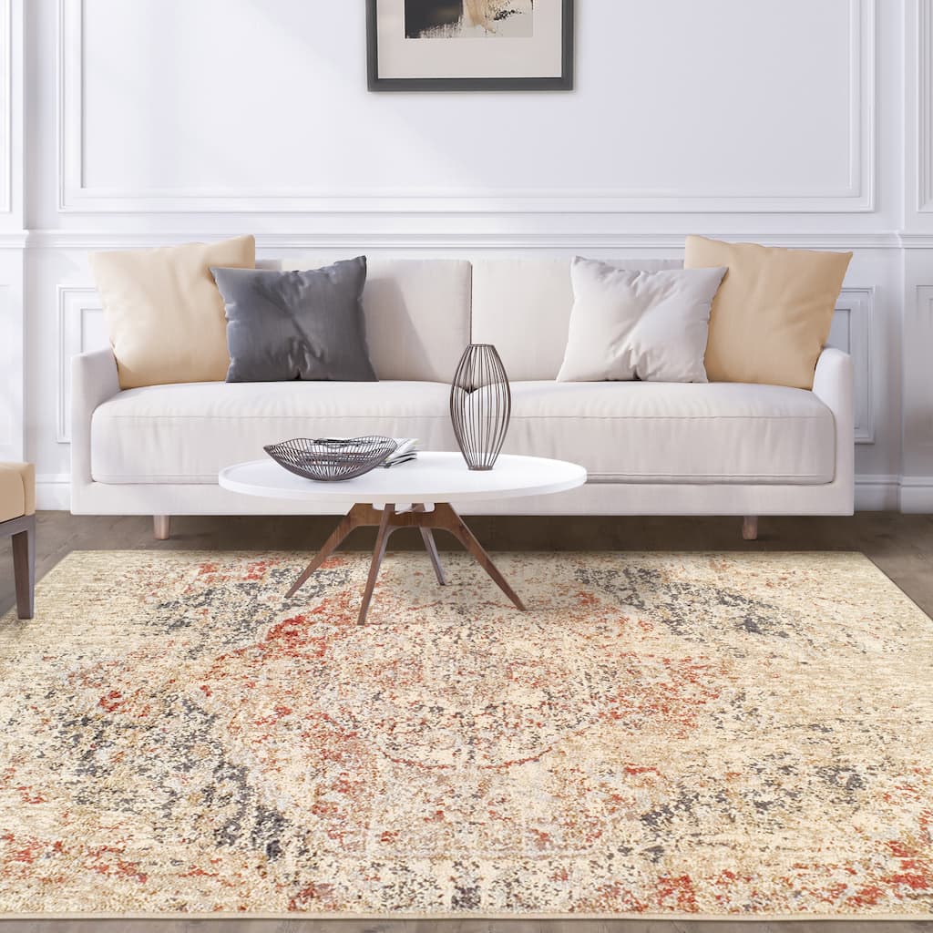 Superior Ombre Distressed Medallion Rustic Area Rug